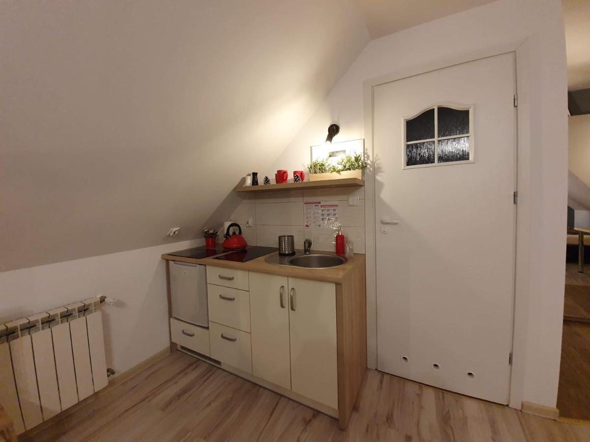 Apartament Jaskier Закопане Экстерьер фото