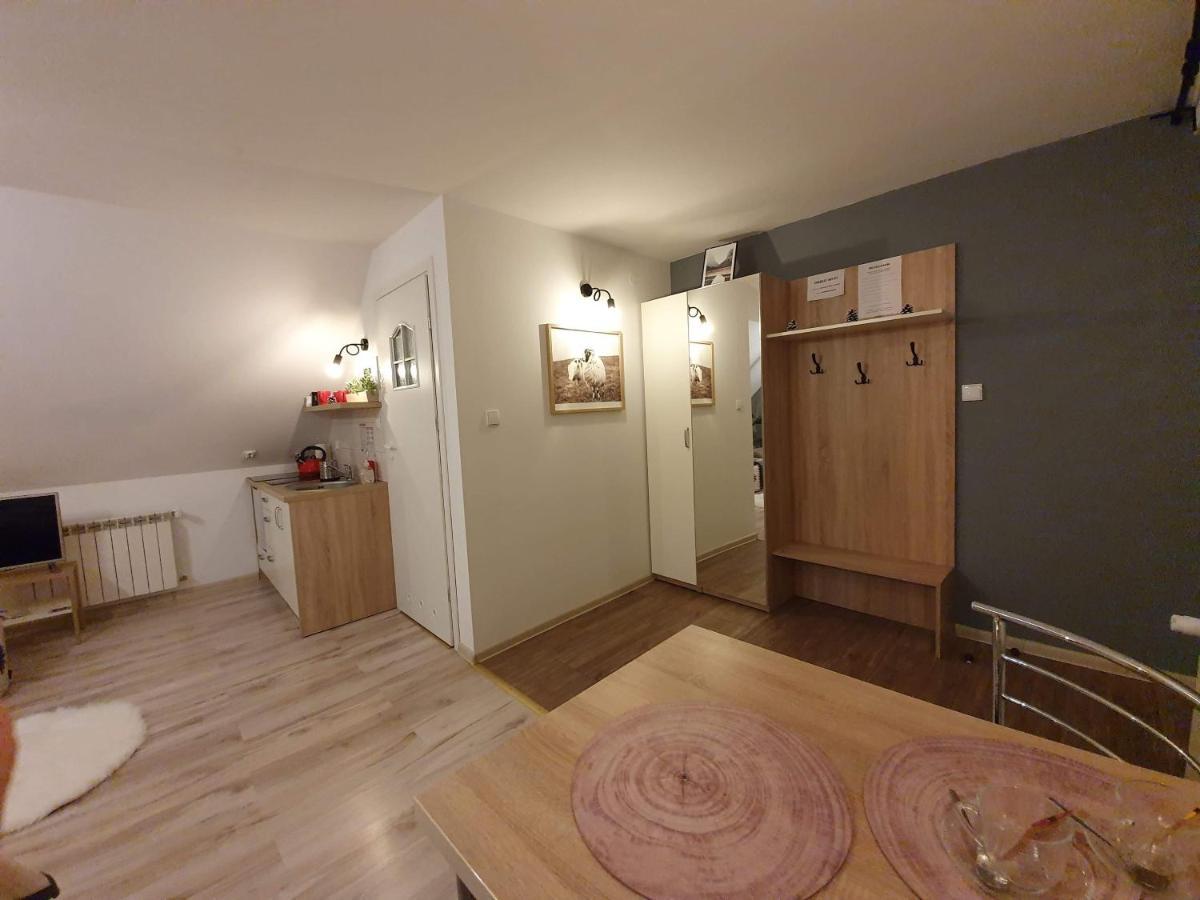 Apartament Jaskier Закопане Экстерьер фото